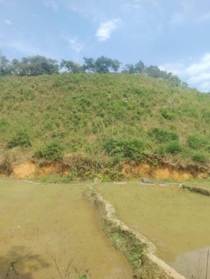 Đất nền Đạ Tông, Đam Rông 2.16ha giá 230 triệu - Xây dựng tự do!