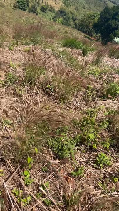 Đất nền Đắk Búk So 2880m² - Đường to ô tô, tiềm năng tăng giá!