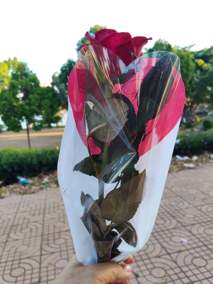 Nhà nghỉ Nơ Trang Long 310m² giá 4,7 tỷ - Đầu tư sinh lời