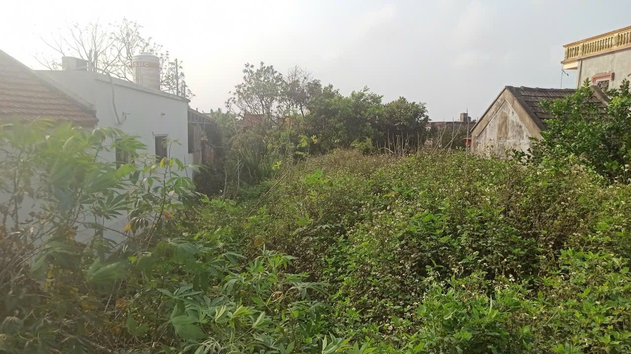 Đất Mặt Tiền QL21 - Thịnh Long: 73m² Kinh Doanh Sầm Uất