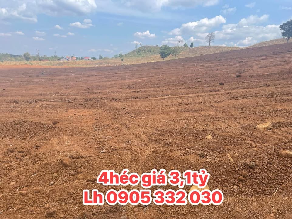 Bán gấp đất vườn Đăk Nông 4000m² sổ đỏ - Sẵn sàng đầu tư/nghỉ dưỡng