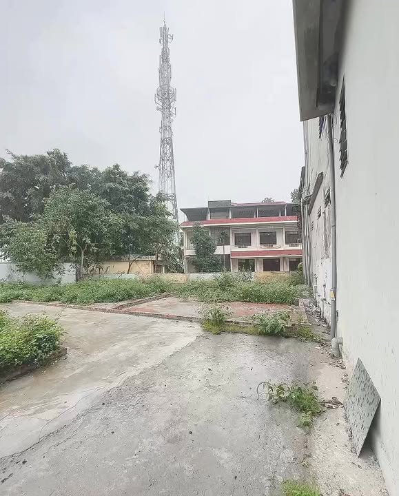 Đất nền Thạch Thất 50m² - Tiềm năng tăng giá!