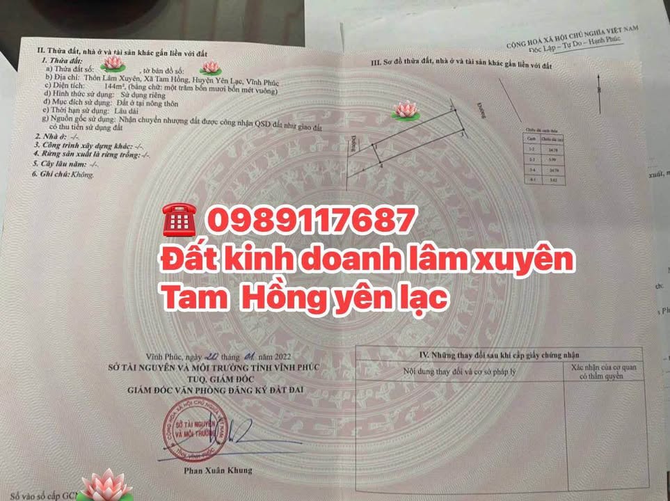 Nhà Mặt Tiền Kinh Doanh 144m² Đường 305 Yên Lạc - Giá Tốt