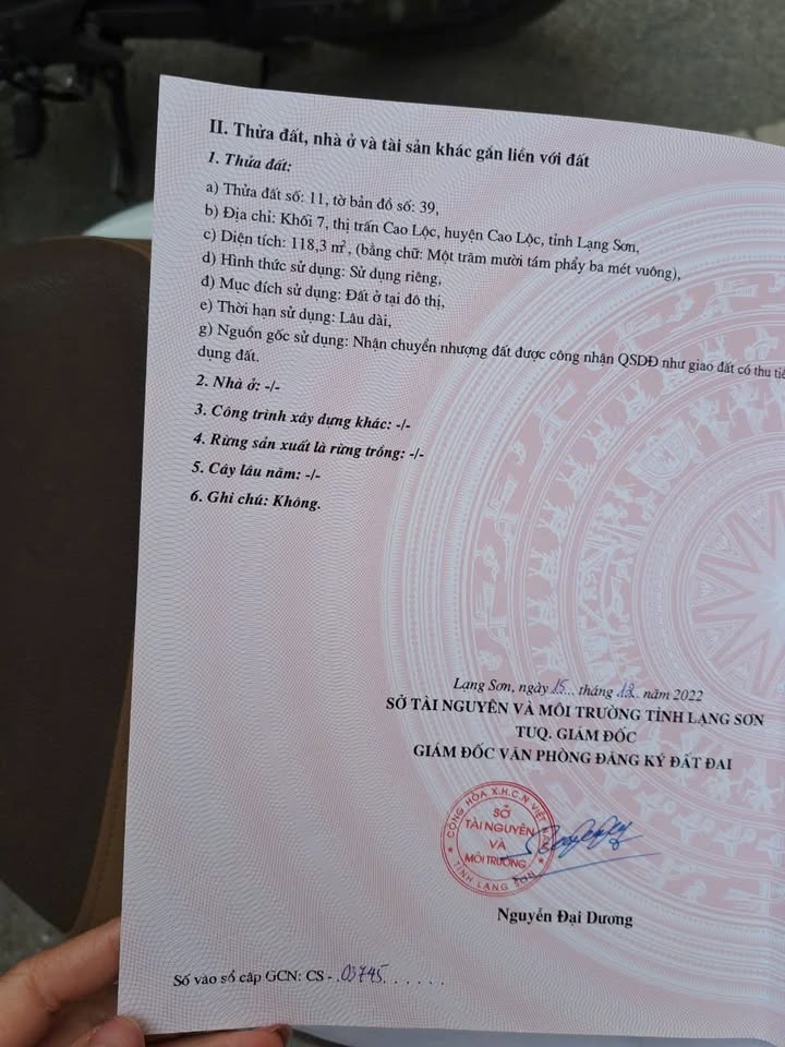 Đất nền Hoàng Văn Thụ 110m² - Sổ hồng sẵn, vị trí kinh doanh đắc địa!