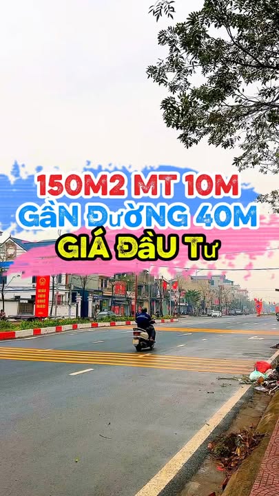 Bán Đất Vàng Phường Lại Yên, Hà Đông 150m² - Mặt Tiền Rộng 10m
