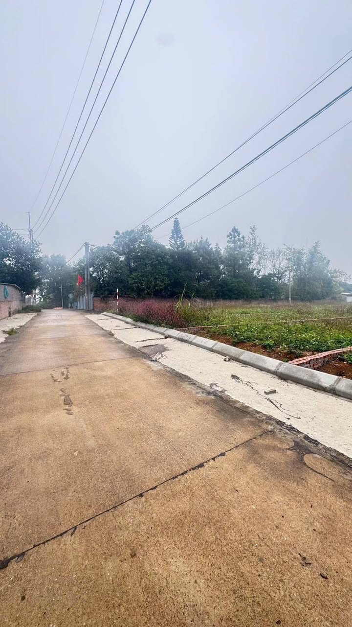 Đất nền Ngọc Nhị Ba Vì 105m² - Đường to ô tô, tiềm năng tăng giá!