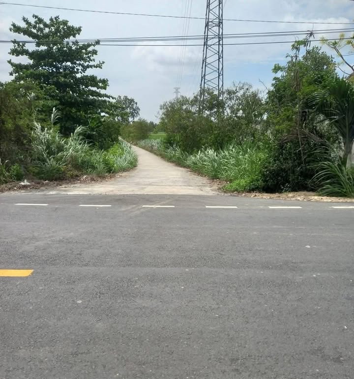 Đất nền Trà Cú 3460m² - Tiềm năng tăng giá!