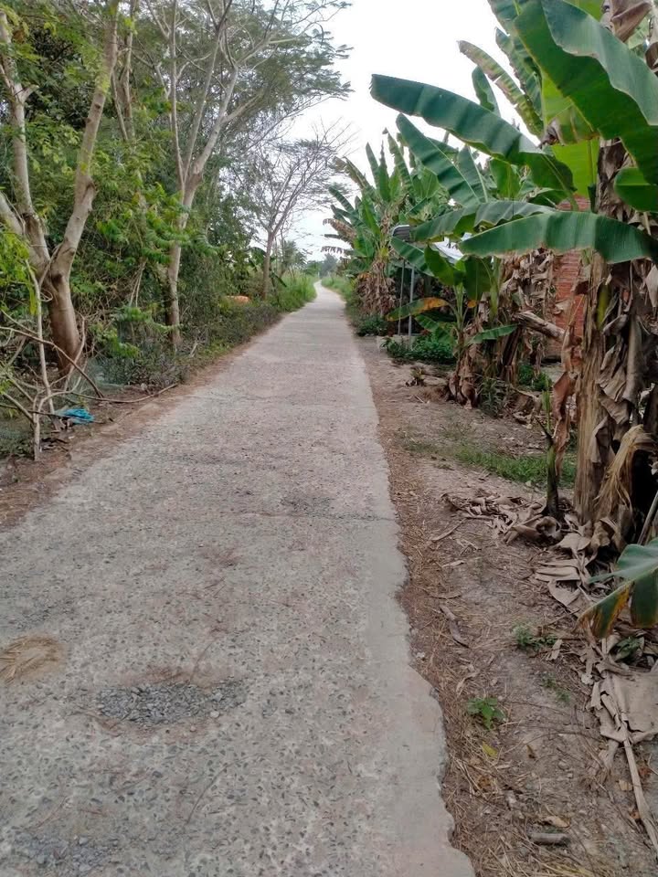 Đất nền Châu Thành, Trà Vinh 115m² - Sổ đỏ chính chủ!