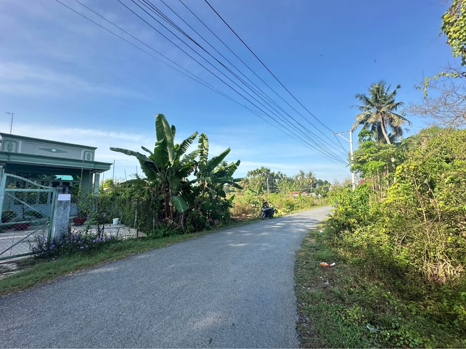 Đất thổ cư 444m² mặt tiền nhựa Gò Dầu, Tây Ninh - Giá 1.5 tỷ, chính chủ