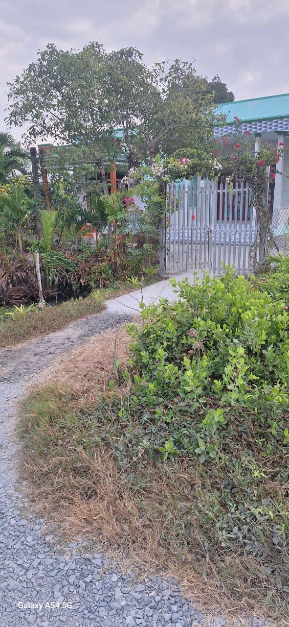 Đất thổ cư Đông Thạnh Cần Giuộc 889m² 3.3 tỷ - Sổ đỏ