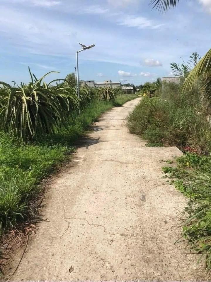 Đất nền Hàm Liêm 1800m² - Đường ô tô vào tận nơi, tiềm năng đầu tư!