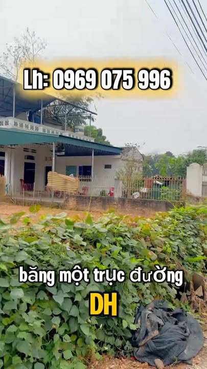 Đất nền Đường DH5 Việt Trì 75m² - Sổ Đỏ Full Thổ Cư