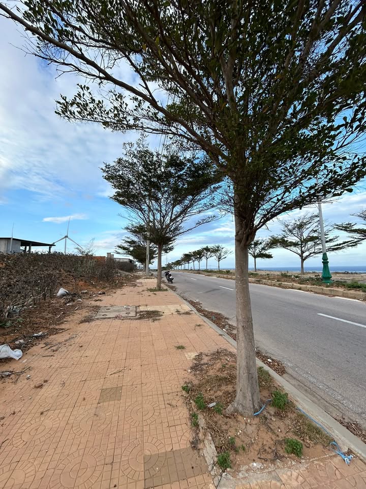 Đất nền Quốc Phòng Ninh Hải 4000m² 4 tỷ - Đường to ô tô