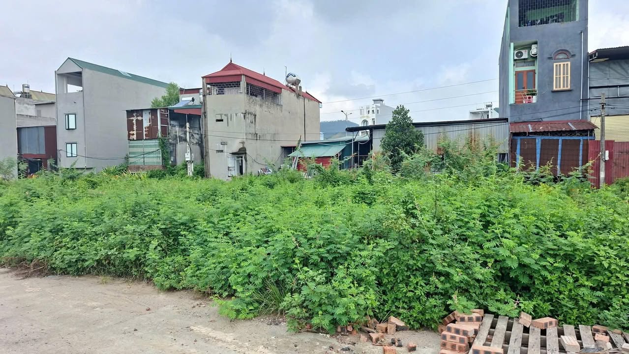 Đất nền 100m² Tdp Minh Phượng, Bắc Giang - Giá Đầu Tư Hời