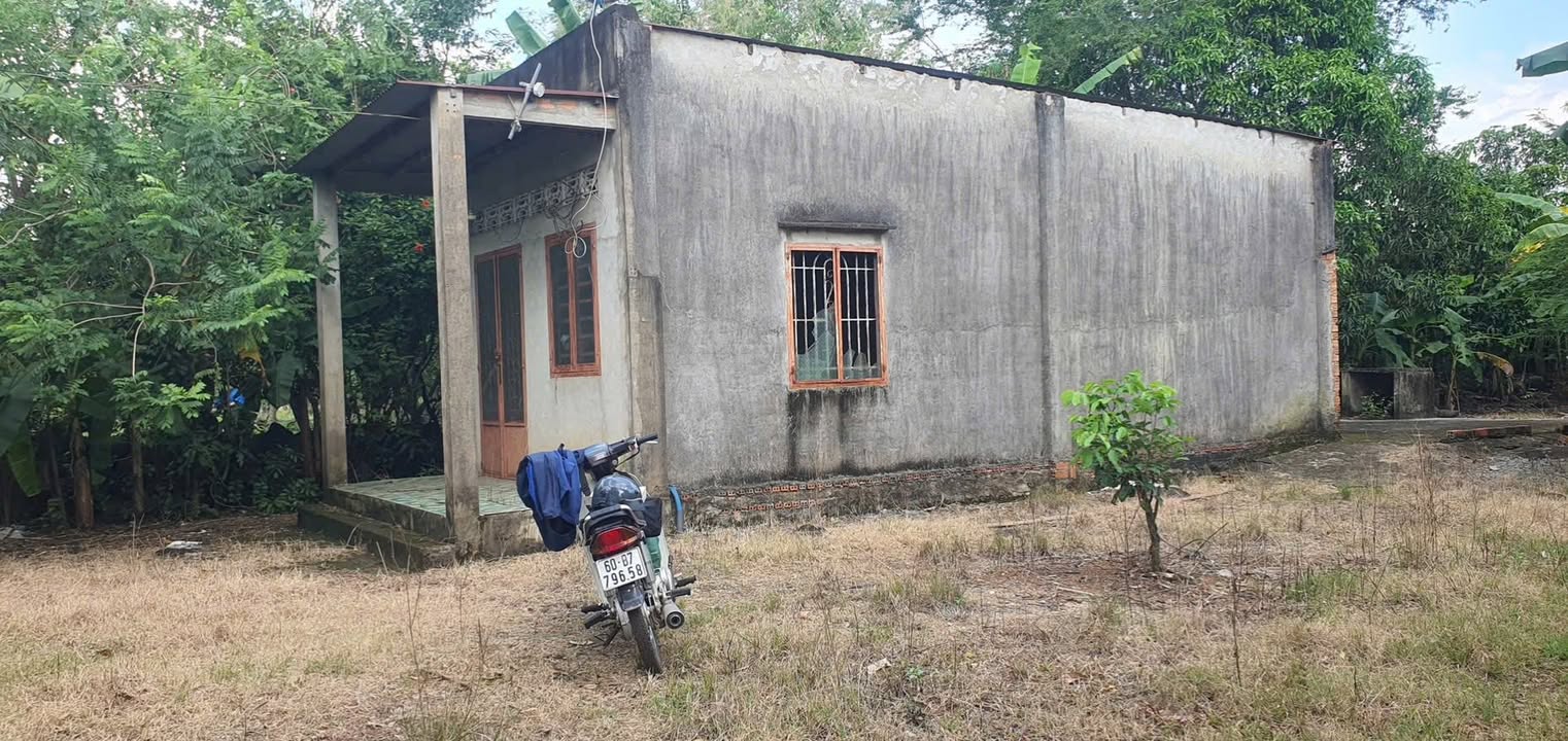 Đất nền Trảng Bom Bàu Hàm 1000m² 900 triệu - Giá tốt hiếm có