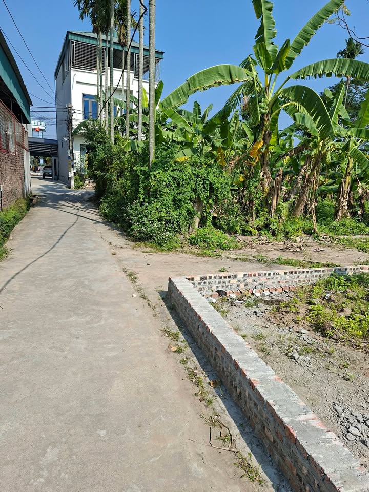 Đất nền Bình Lăng Tứ Kỳ 70m² - Sổ đỏ chính chủ, đường ô tô tận đất!