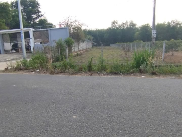 Đất Vàng Gò Dầu 4200m² - Sổ Đỏ Thổ Cư, Giá Tốt