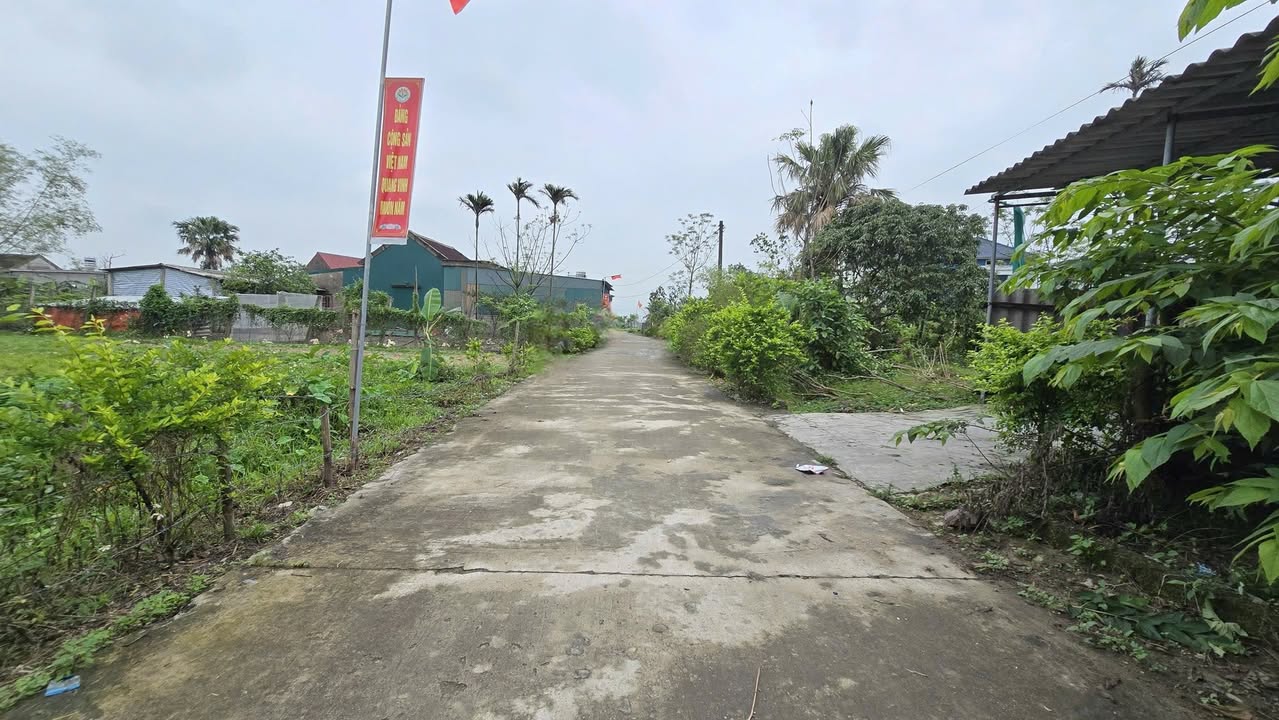 Bán Đất Vàng Xã Cẩm Thành, Cẩm Xuyên, Hà Tĩnh - 177m² Hướng Nam