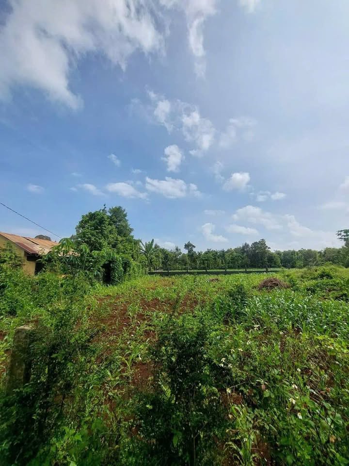 Đất nền Ea Kmat Buôn Ma Thuột 150m² - Sổ đỏ chính chủ