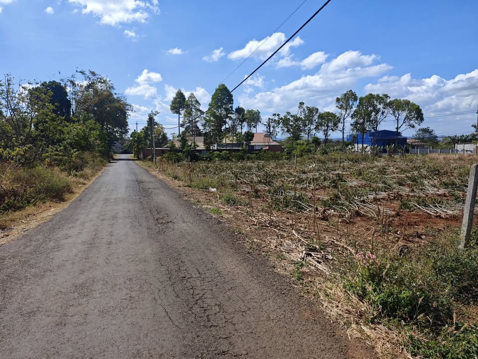 Đất Phan Huy Chú BMT 138m² - Sổ đỏ, vị trí vàng đầu tư!