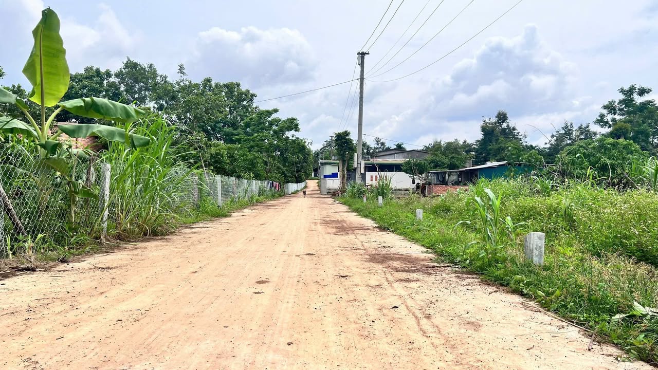 Đất Nền Ea Tiêu Cư Kuin: 2 Lô Liền Kề 350m² Giá 700 Triệu - Sẵn Sổ Hồng