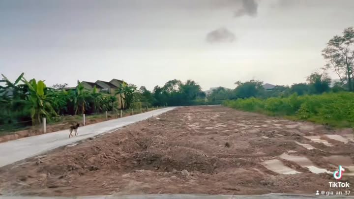 Đất nền Yên Thành 200m² - Sẵn Sàng Xây Biệt Thự Tiềm Năng