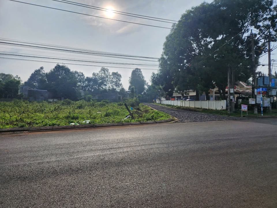 Bán Đất Mặt Tiền Phường Tân An, Buôn Ma Thuột - 175m² Giá 1.86 Tỷ