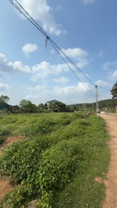 Đất nền Nam Thanh, Nam Đàn 242m² – Tiềm năng tăng giá mạnh!