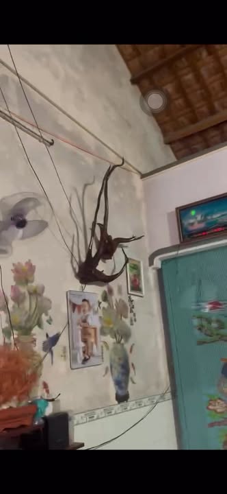 Nhà riêng Vạn Giã 99.6m² 2.6 tỷ - Chính chủ bán