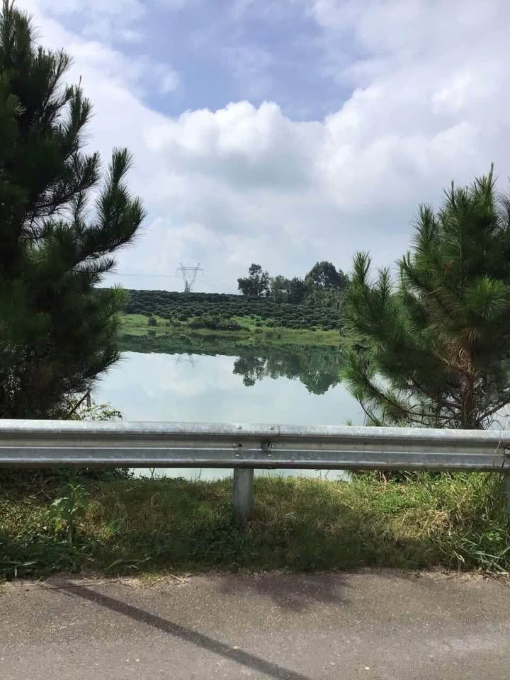 Đất nền Bảo Lộc Lộc Châu 500m² - Đất thổ cư 100%