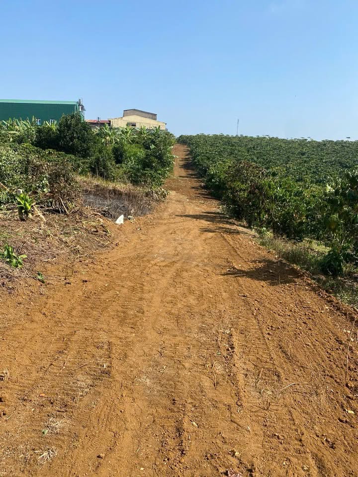 Đất nền Bảo Lộc 2300m² 4 tỷ - Sổ đỏ chính chủ, đường ô tô 6m!