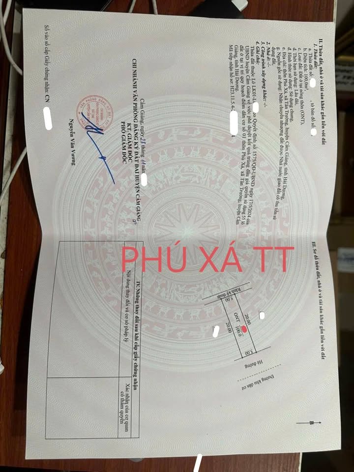 Đất nền 100m² Tân Trường, Cẩm Giàng - Tiềm năng tăng giá vượt trội!