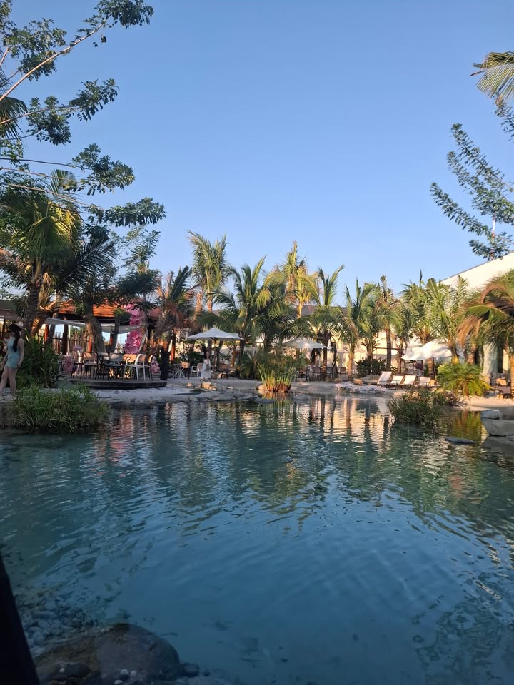 Bán Đất Mặt Tiền Suối Tiên Long Hải 500m² - Giá 4.5 Tỷ, Vườn Xanh Mát