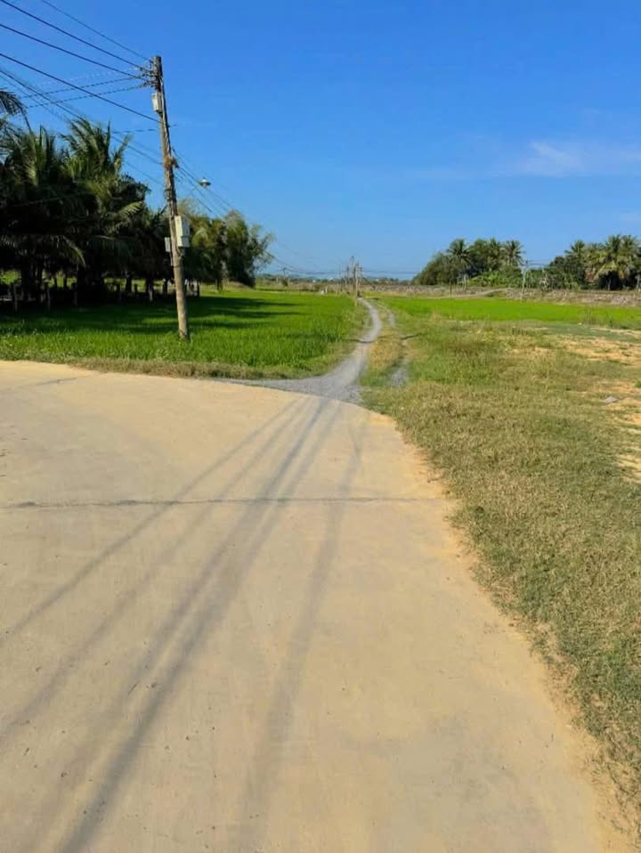 Đất nền Ninh Lộc, Ninh Hòa 3485m² - Sổ đỏ chính chủ, ô tô vào tận nơi