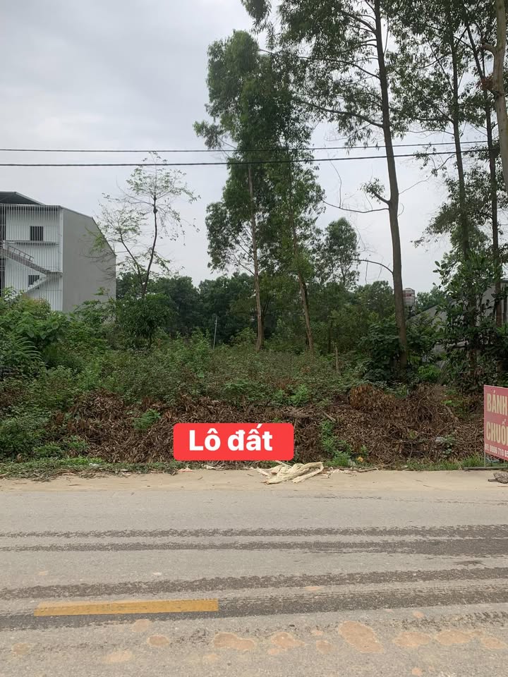 Đất nền 100m² KCN Phú Hà, TX Phú Thọ - Sổ đỏ chính chủ, đầu tư sinh lời!