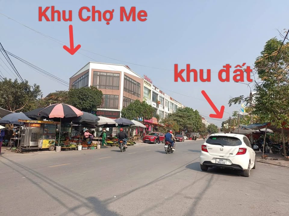 Đất nền Tỉnh lộ 309, Tam Nông: 100m² kinh doanh tốt, giá chỉ 1.7 tỷ