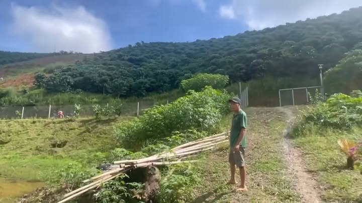 Đất Nền Đạ Huoai, Lâm Đồng 20.000m² - Sẵn Sổ Đỏ, Nguồn Thu Ổn Định