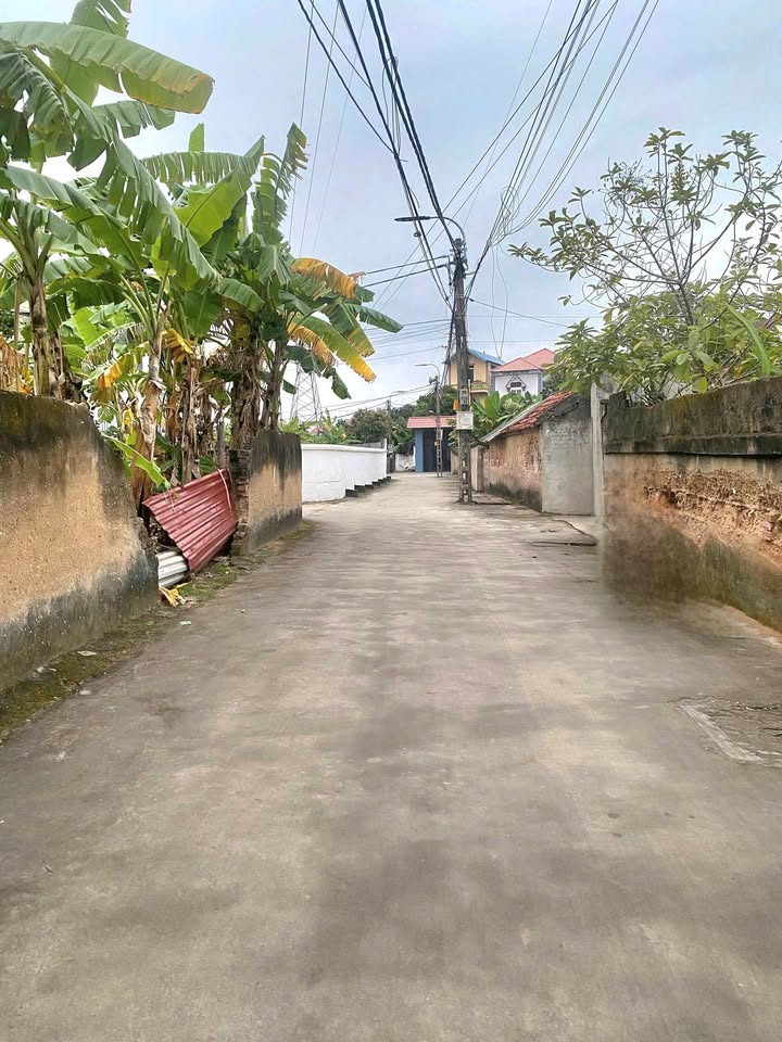 Đất nền Tân An TP Bắc Giang 140m² 3 tỷ - Sổ đỏ chính chủ