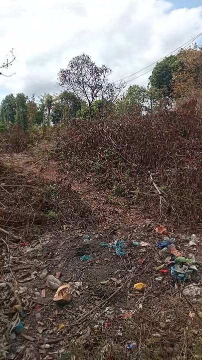 Đất nền Xã Tâm Thắng Cư Jút 340m² giá 470 triệu - Sổ đỏ chính chủ!