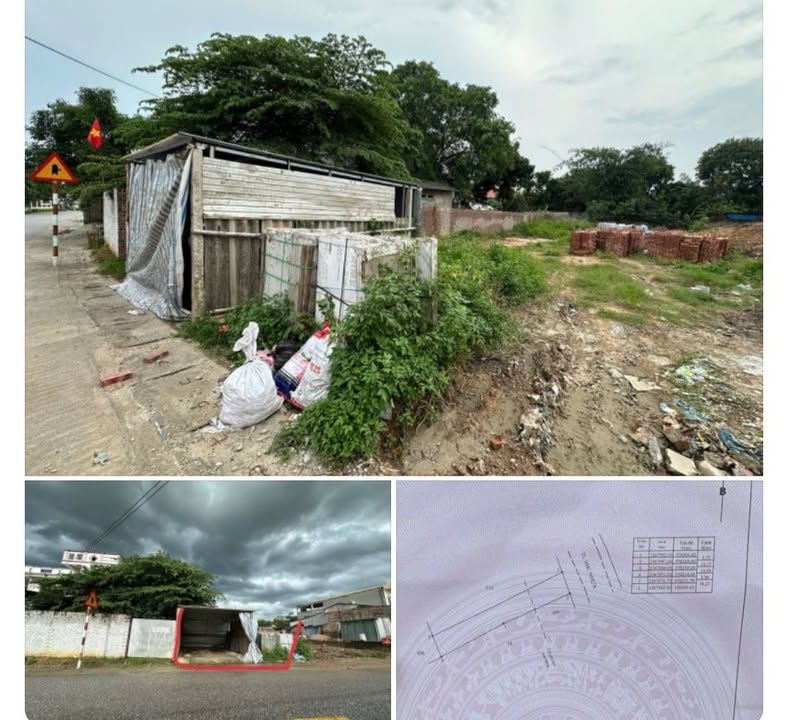 Đất nền Tam Dương Vĩnh Phúc 240m² - Tiềm năng tăng giá!