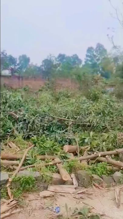 Bán Gấp Đất Vườn 2900m² Vĩnh Phúc - Sổ Đỏ 5 Sổ, Giá 3.5 Triệu/m²