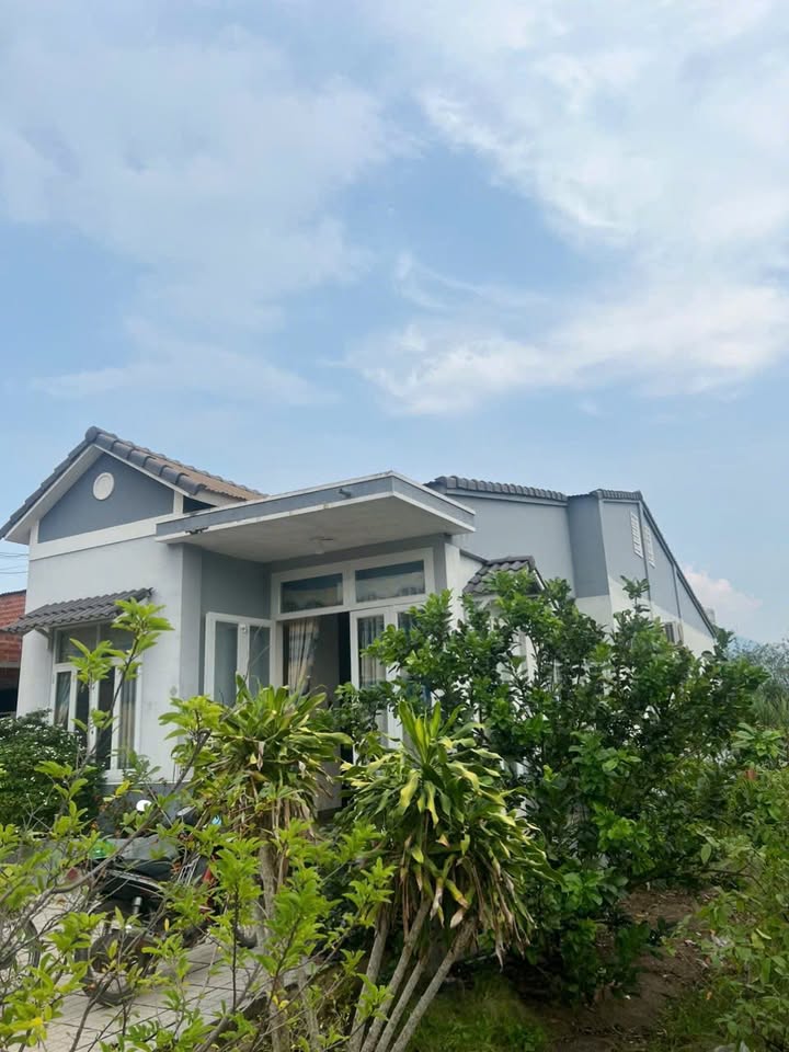 Đất Vườn Tân Hưng - Chính chủ bán gấp 880m² giá chỉ 7xx triệu