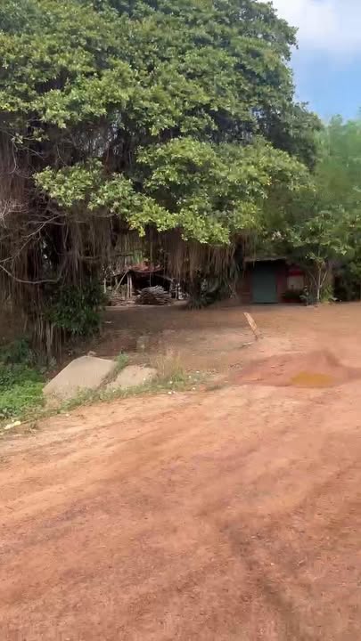 Đất nền Thạnh Đông, Tân Châu 3.100m² - Sổ đỏ chính chủ, ô tô vào tận nơi!