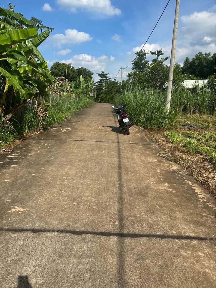 Đất Vườn Quảng Thành 2025m² - Sổ Riêng, Giá 2.4 Tỷ, Trồng Tiêu & Cây Ăn Trái