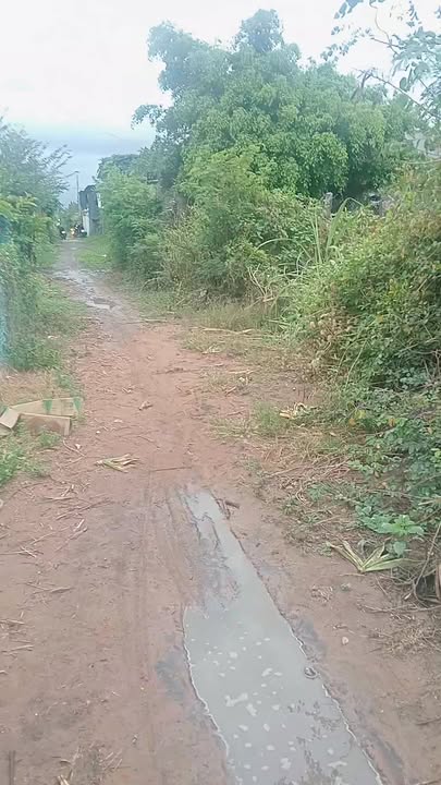 Đất nền Ninh An 99m² - Sổ đỏ sẵn, dân cư đông đúc