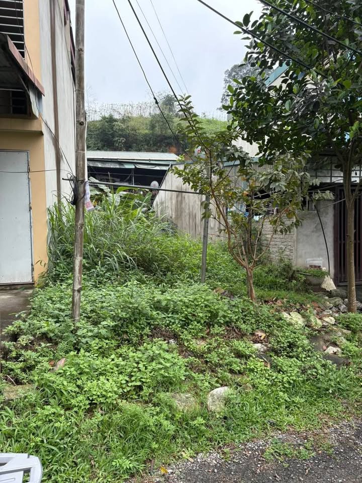 Đất nền Nguyễn Tất Thành, Lào Cai 95m² 1.4 tỷ - Tiềm năng tăng giá!