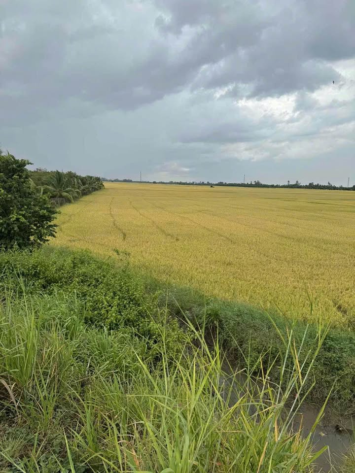 Đất nền Vĩnh Tế Châu Đốc 7 công 2.94 tỷ - Sổ đỏ chính chủ