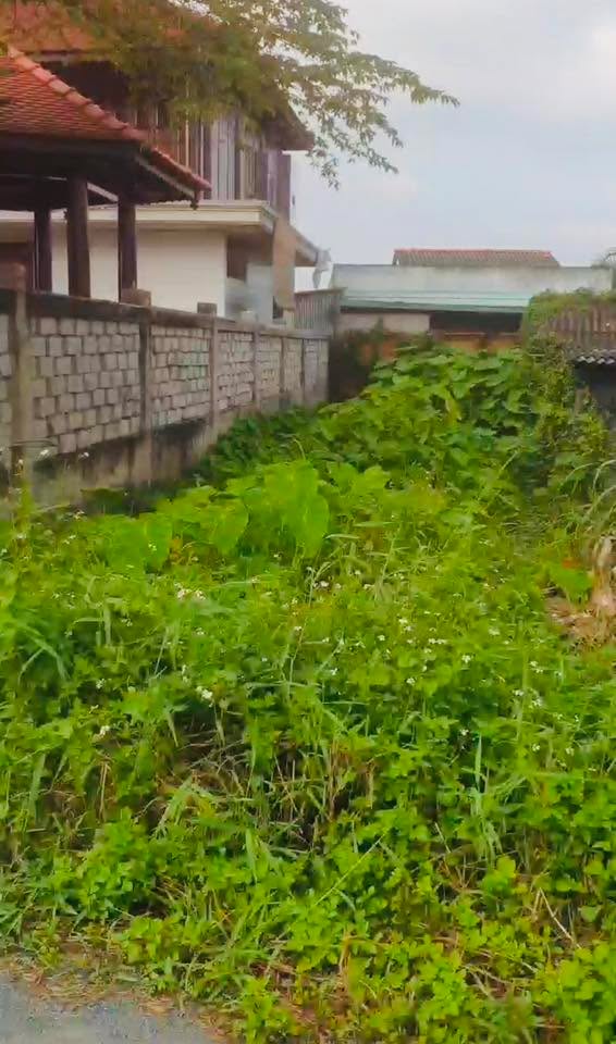 Lô đất mặt tiền An Vĩnh Ngãi 140m² giá 1.05 tỷ - Tiềm năng tăng giá vượt trội!