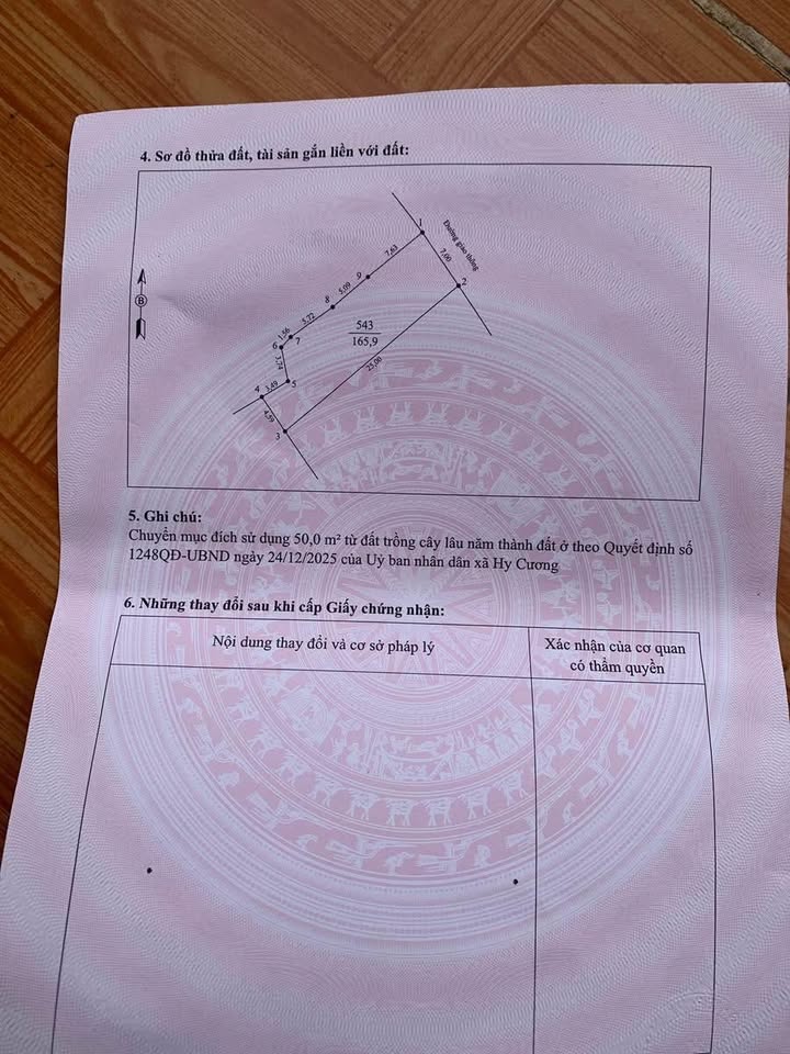 Đất nền TP Việt Trì 165m² - Sổ đỏ chính chủ, thổ cư 100%