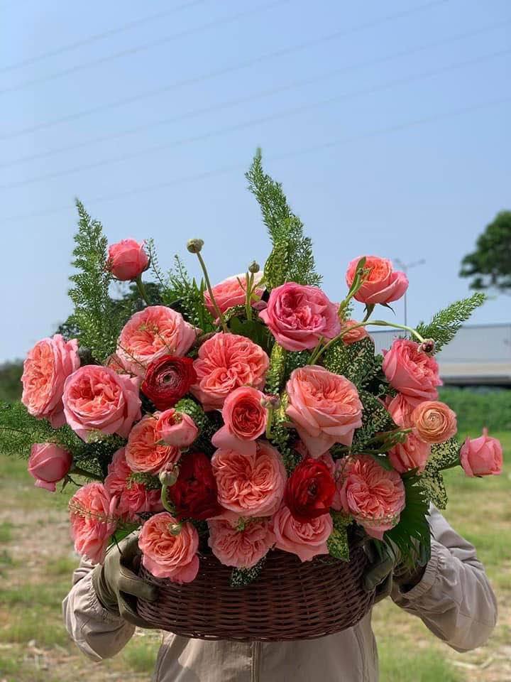 Đất Nền Khái Tây 1, Đà Nẵng 140m² - Sổ Đỏ Sẵn Sàng